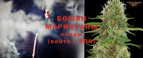 мдпв Богородицк