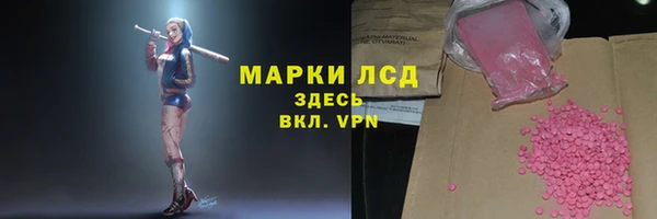 мдпв Богородицк