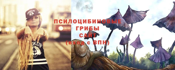 мдпв Богородицк