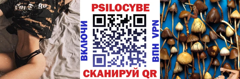 Псилоцибиновые грибы мицелий  купить наркотики цена  Среднеуральск 